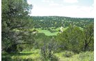 Property photo 44 - 7,320 Acres Offered in 5 Tracts